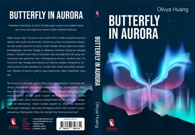 Butterfly in aurora resize Butterfly In Aurora